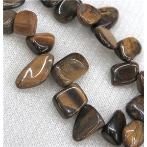 tiger eye bead chips, freeform, approx 6-10mm, 15.5 inches