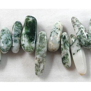Tree Agate beads, freeform chips, Top-Drilled, 5mm wide,15-23mm length, 16 inch length