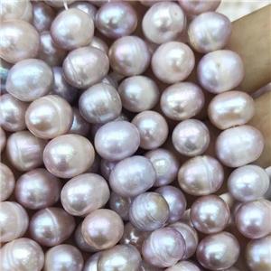 Natural Freshwater Pearl Beads, purple, approx 11-12mm, 35cm length