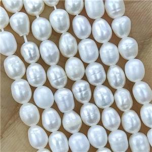 white Freshwater Pearl rice Beads, approx 4-4.5mm