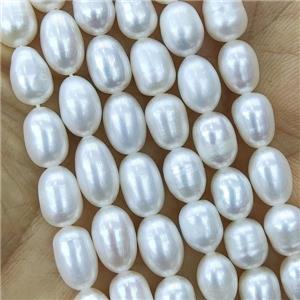 white Freshwater Pearl rice Beads, approx 6-7mm