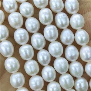 white Freshwater Pearl barrel Beads, approx 7-8mm