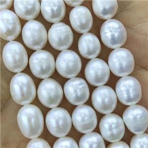 white Freshwater Pearl rice Beads, approx 8-9mm