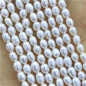white Freshwater Pearl rice Beads, approx 2.5-2.8mm