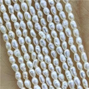 white Freshwater Pearl rice Beads, approx 1.8-2mm