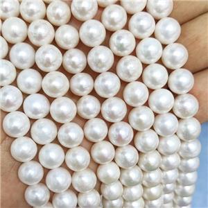 White Pearl Beads Round AAA-Grade, approx 10-11mm