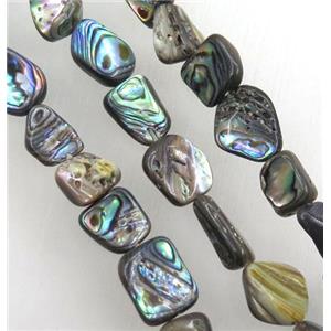 Paua Abalone shell chips bead, freeform, approx 8-12mm