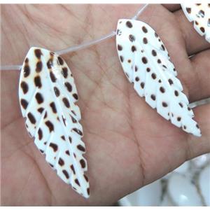 Mother of Pearl, leaf, approx 20-60mm, 12pcs per st