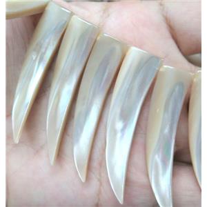 Mother Of Pearl Shell Cattle Horn, approx 12-55mm, 34pcs per st