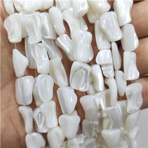 White Sea Shell Beads Freeform, approx 8-16mm