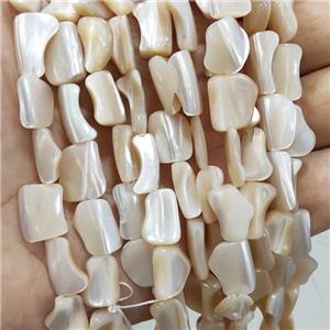 Coffee Sea Shell Beads Freeform Natural Color, approx 8-16mm