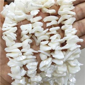 White Sea Shell Beads Freeform, approx 10-20mm