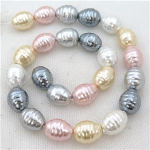 mixed Pearlized Shell silkworm beads, approx 13-16mm