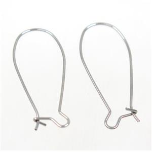 stainless steel earring hook, approx 13-35mm